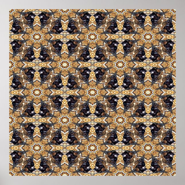 Drachen...... Poster (Vorne)