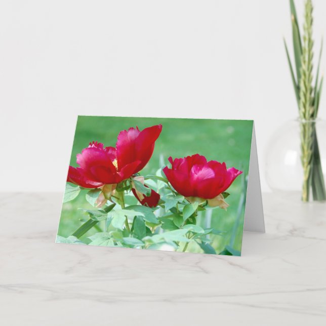Drachen, Tiger und Peonies V Karte (Vorderseite)