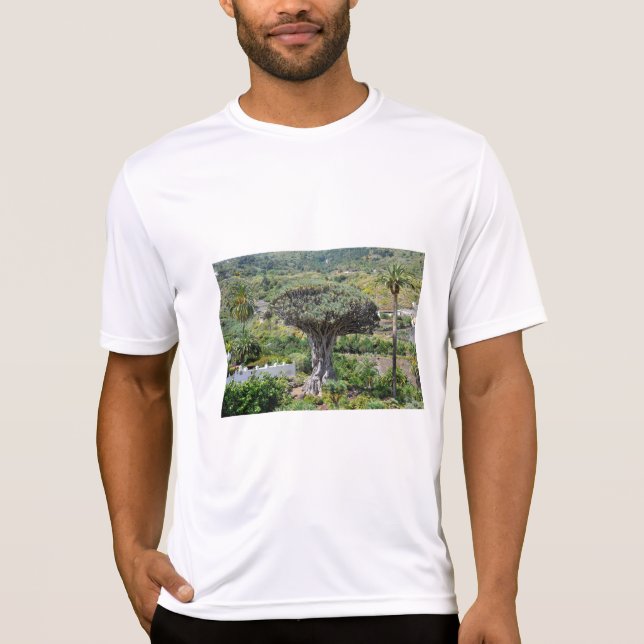 Drachenbaum auf Teneriffa T-Shirt (Vorderseite)