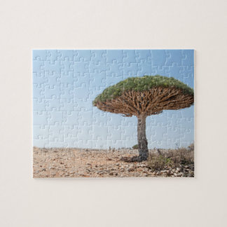 Drachenblut-Baum Puzzle