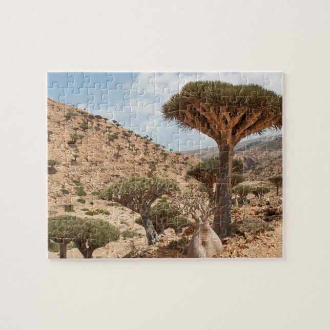 Drachenblut-Baumwald, Socotra-Insel, der Jemen Puzzle (Horizontal)