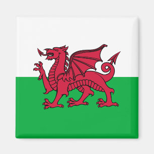 Drachenflagge von Wales, keltische walisische Nati Magnet