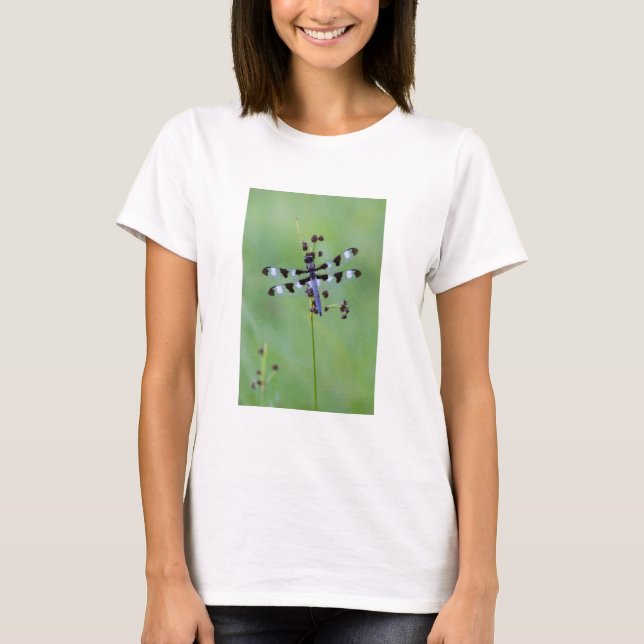 Drachenfliege auf Gras, Kanada T-Shirt (Vorderseite)