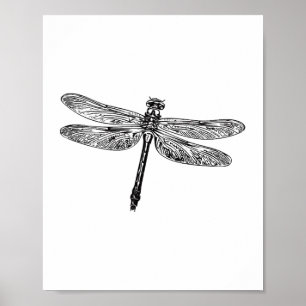 Drachenfliege Poster