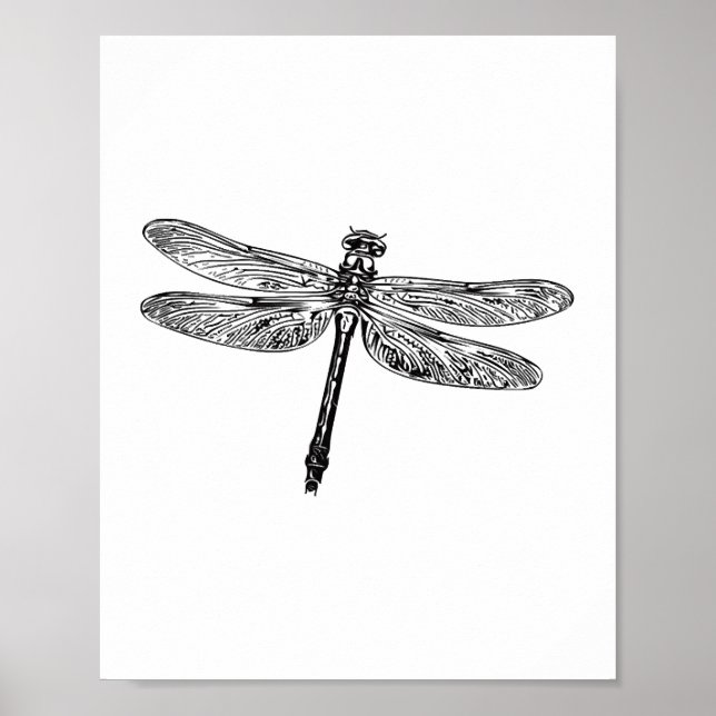Drachenfliege Poster (Vorne)
