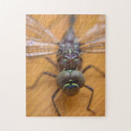 Drachenfliege Puzzle