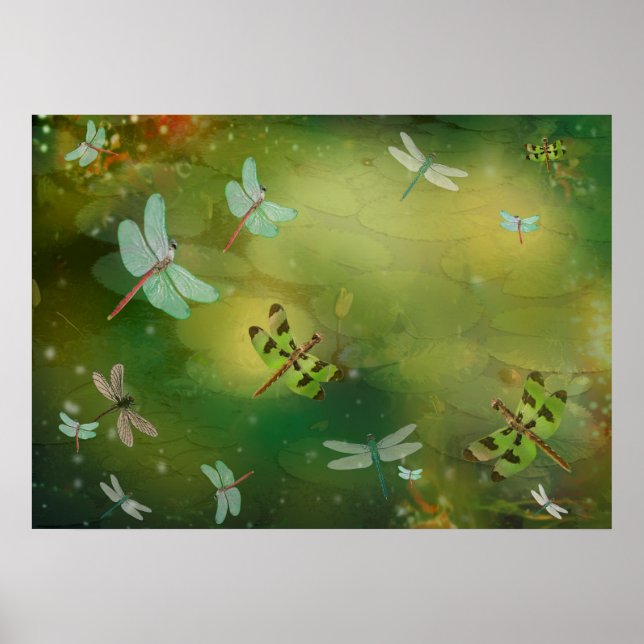 Drachenfliegen und Wasserkunstwerk für Lilien Poster (Vorne)