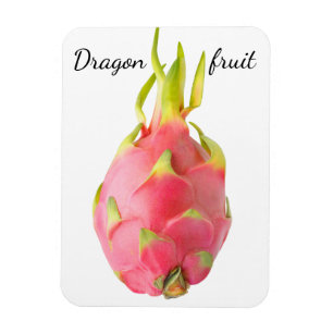 Drachenfrucht Magnet
