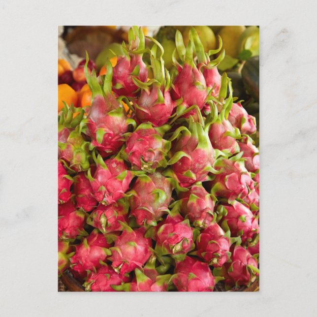 Drachenfrucht| Markt für Dosen Postkarte (Vorderseite)