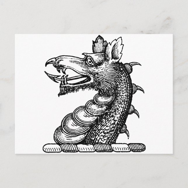 Drachenkleidung 9 postkarte (Vorderseite)