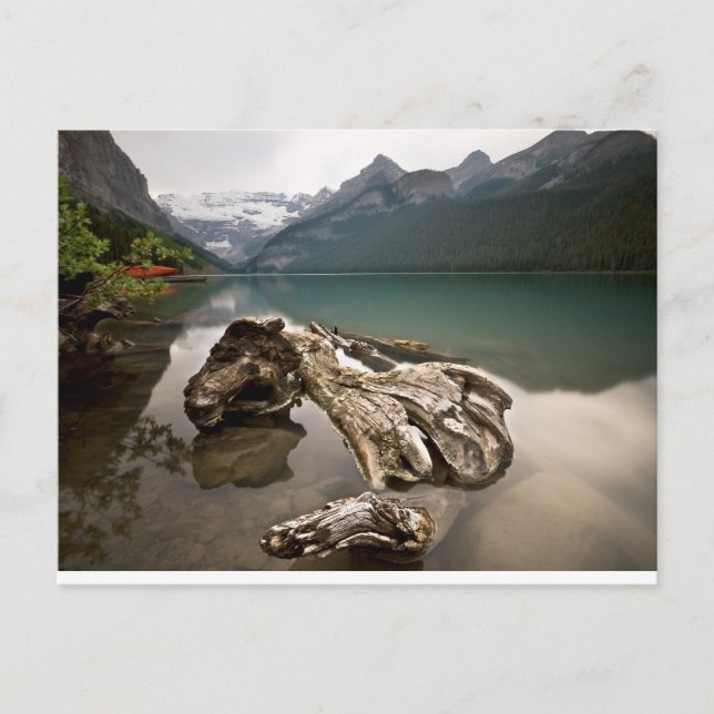 Drachenknochen Postkarte (Vorderseite)