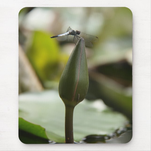 Drachenmuschel Mousepad (Vorne)