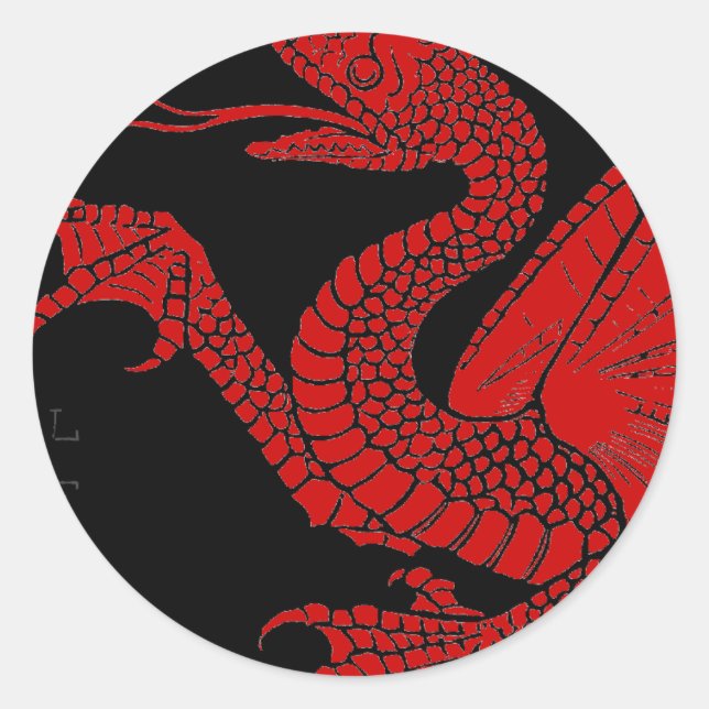 Drachensch sticker (Vorderseite)