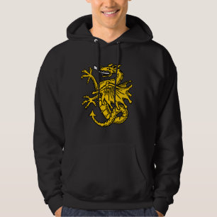 Drachesymbole und -grafik hoodie