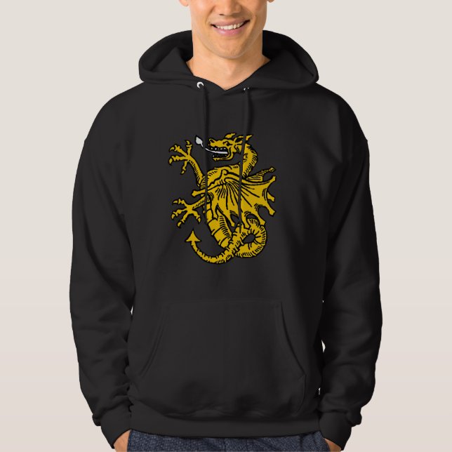 Drachesymbole und -grafik hoodie (Vorderseite)