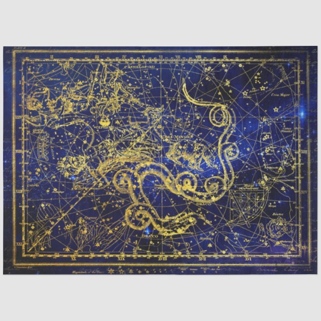 Draco Goldene Himmels-Konstellation Seidenpapier (Vorderseite)