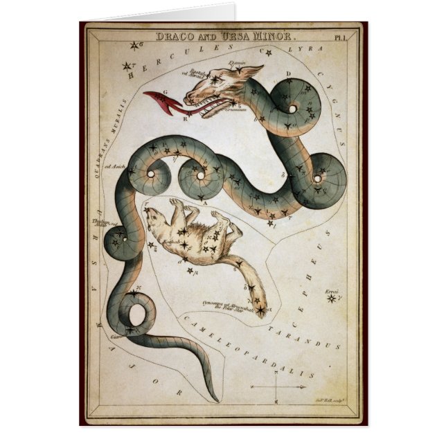 Draco und Ursa Minderjähriger (Vorne)