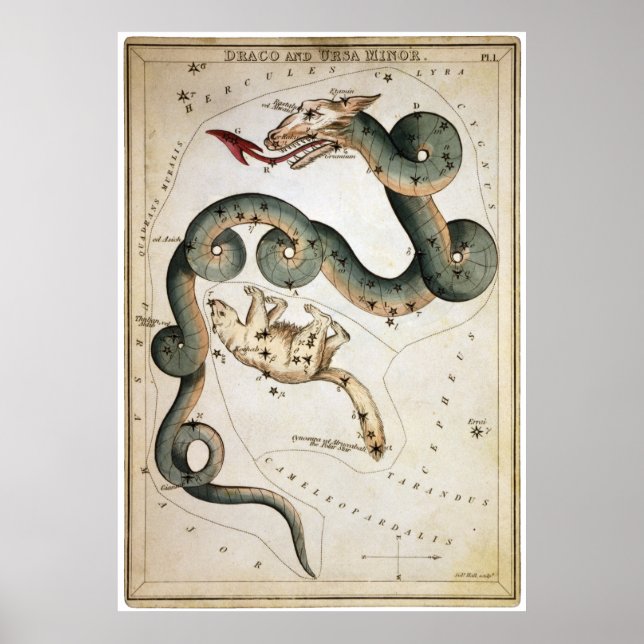 Draco und Ursa Minor Poster (Vorne)