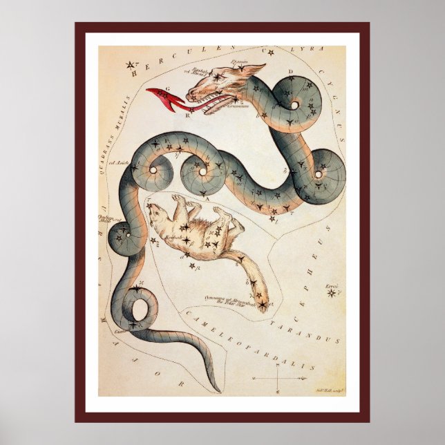 Draco und Ursa Minor von Sidney Hall Poster (Vorne)