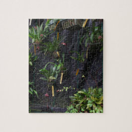 Dracula Orchid Puzzle