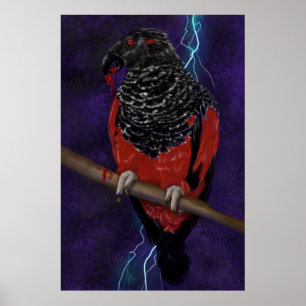 Dracula Parrot Poster