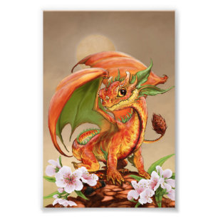 Dragon 4x6 drucken fotodruck