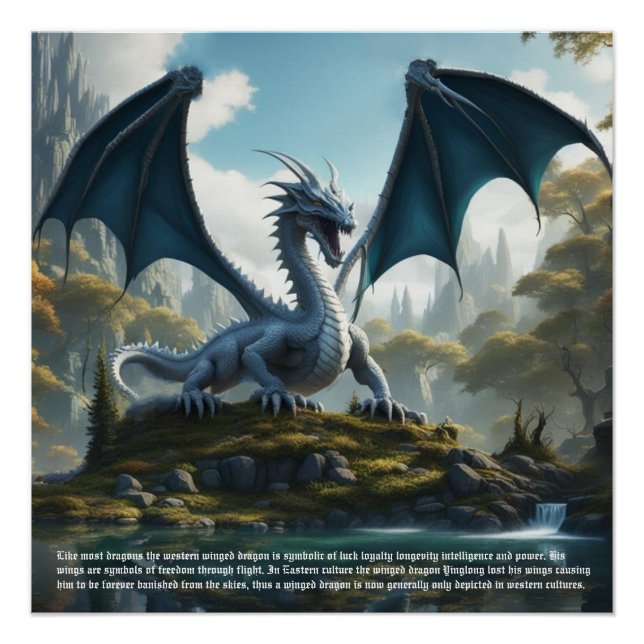 Dragon Anger Poster (Vorderseite)