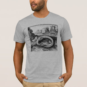 Dragon Biting es ist Schwanz Tee Shirt