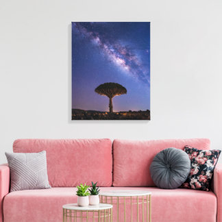 Dragon Blood Tree Milky Way Canvas  Ancient Nature Leinwanddruck