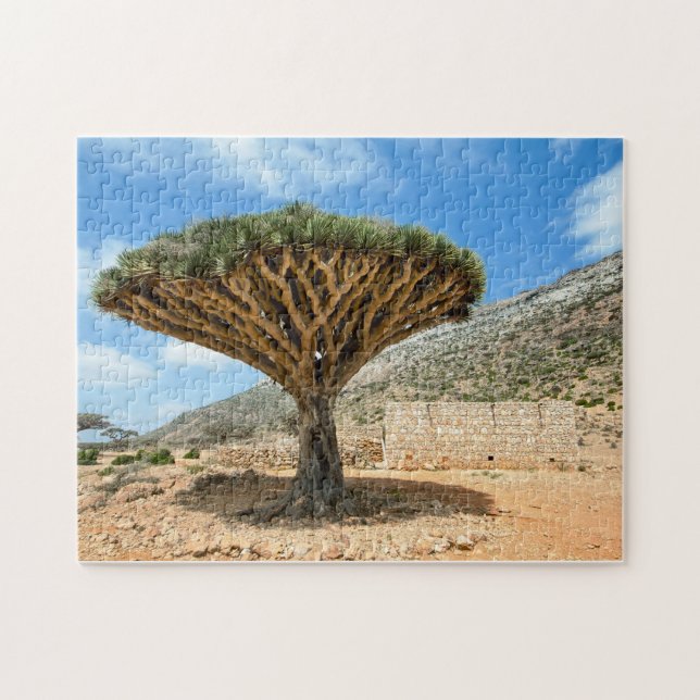 Dragon Blood Tree, Socotra Island, Jemen Puzzle (Horizontal)
