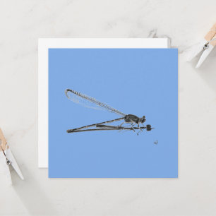 Dragon Fly Karte