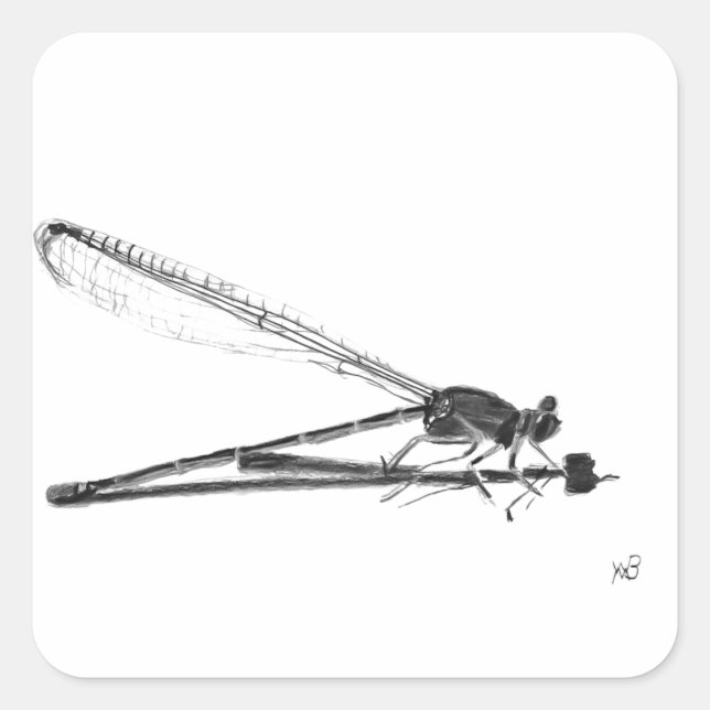 Dragon Fly Quadratischer Aufkleber (Vorderseite)