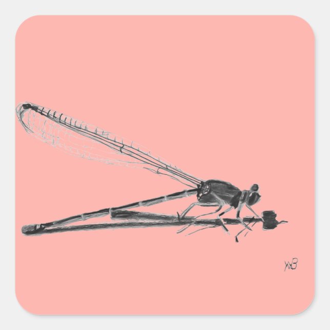 Dragon Fly Quadratischer Aufkleber (Vorderseite)