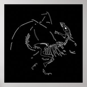 Dragon Fossils Poster