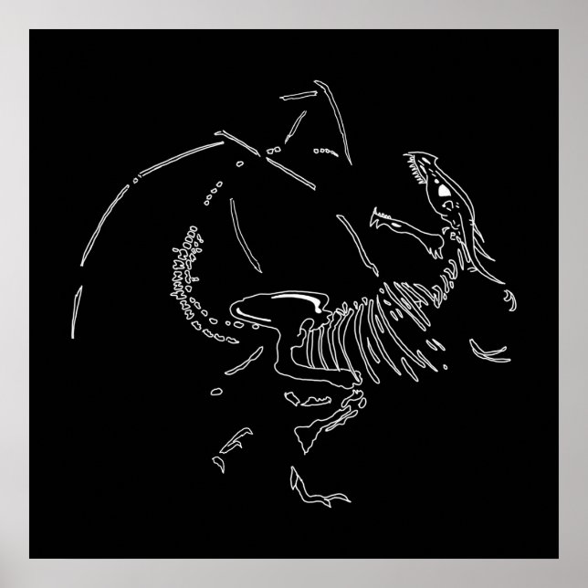 Dragon Fossils Poster (Vorne)