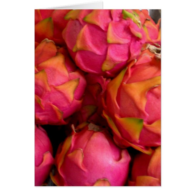 Dragon Fruit (Vorne)