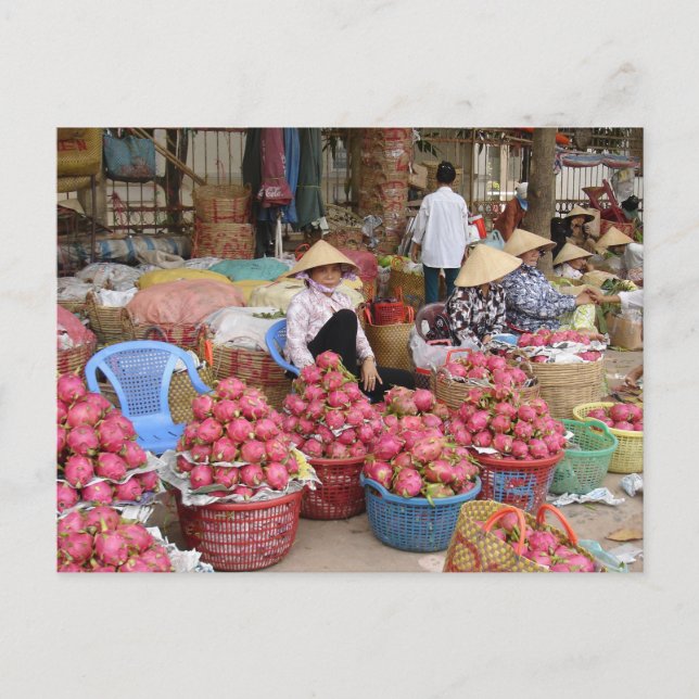 Dragon Fruit for Sale Postkarte (Vorderseite)