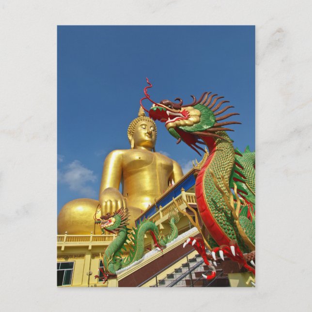 Dragon Guard Postkarte (Vorderseite)