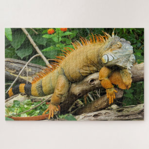 Dragon lizard sleeping along a Long Branch Puzzle