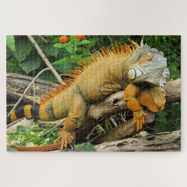 Dragon lizard sleeping along a Long Branch Puzzle (Horizontal)
