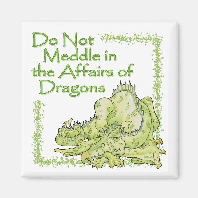 DRAGON MAGNET (Vorne)