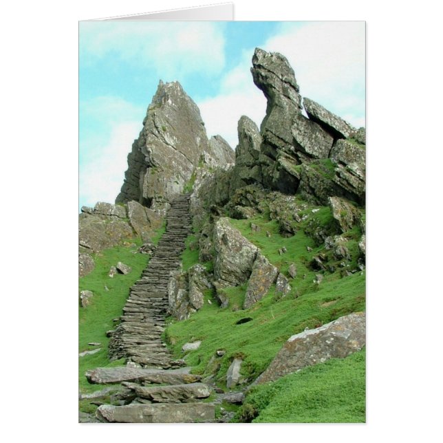 Dragon on Guard (Vorne)