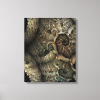 Dragon Skin Fraktal Art