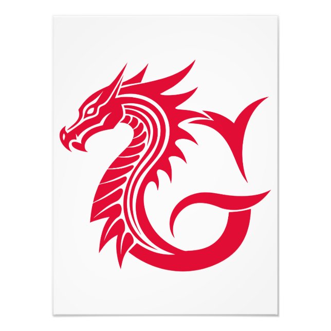 Dragon Styled Letter G, Dragon Alphabet, Monogram Fotodruck (Vorne)