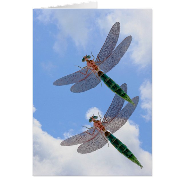 Dragonflies Blue Sky Clouds Nature Card (Vorne)