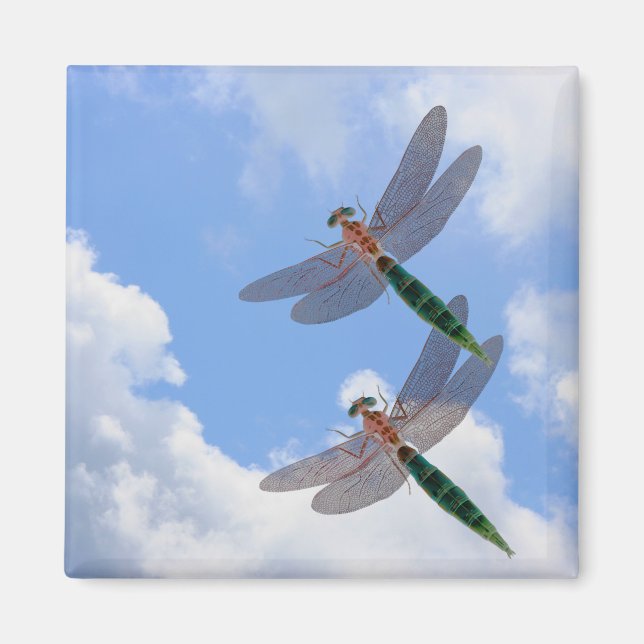 Dragonflies Blue Sky Clouds Nature Magnet (Vorne)