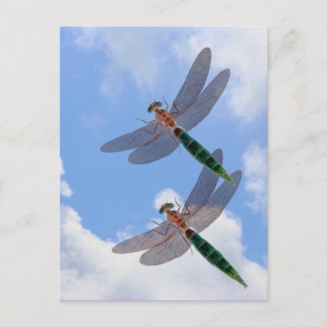 Dragonflies Blue Sky Clouds Nature Postcard Postkarte (Vorderseite)