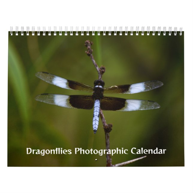 Dragonflies-Fotokalender Kalender (Titelbild)