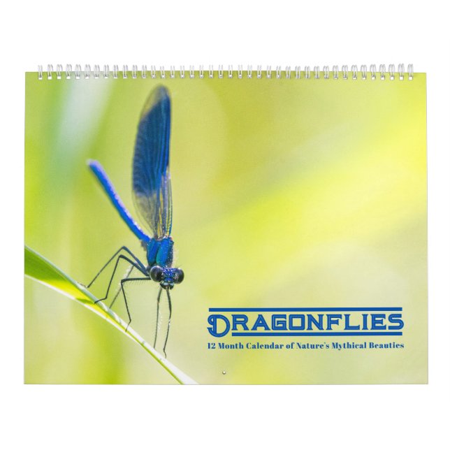Dragonflies-Kalender Kalender (Titelbild)