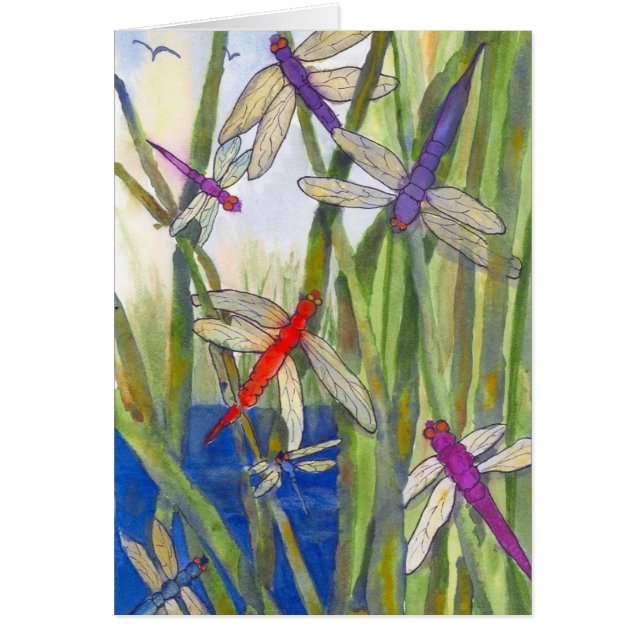 Dragonflies Summer (Vorne)